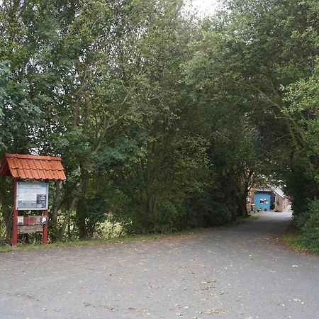 Gulfhof Friedrichsgroden Villa Carolinensiel Ngoại thất bức ảnh