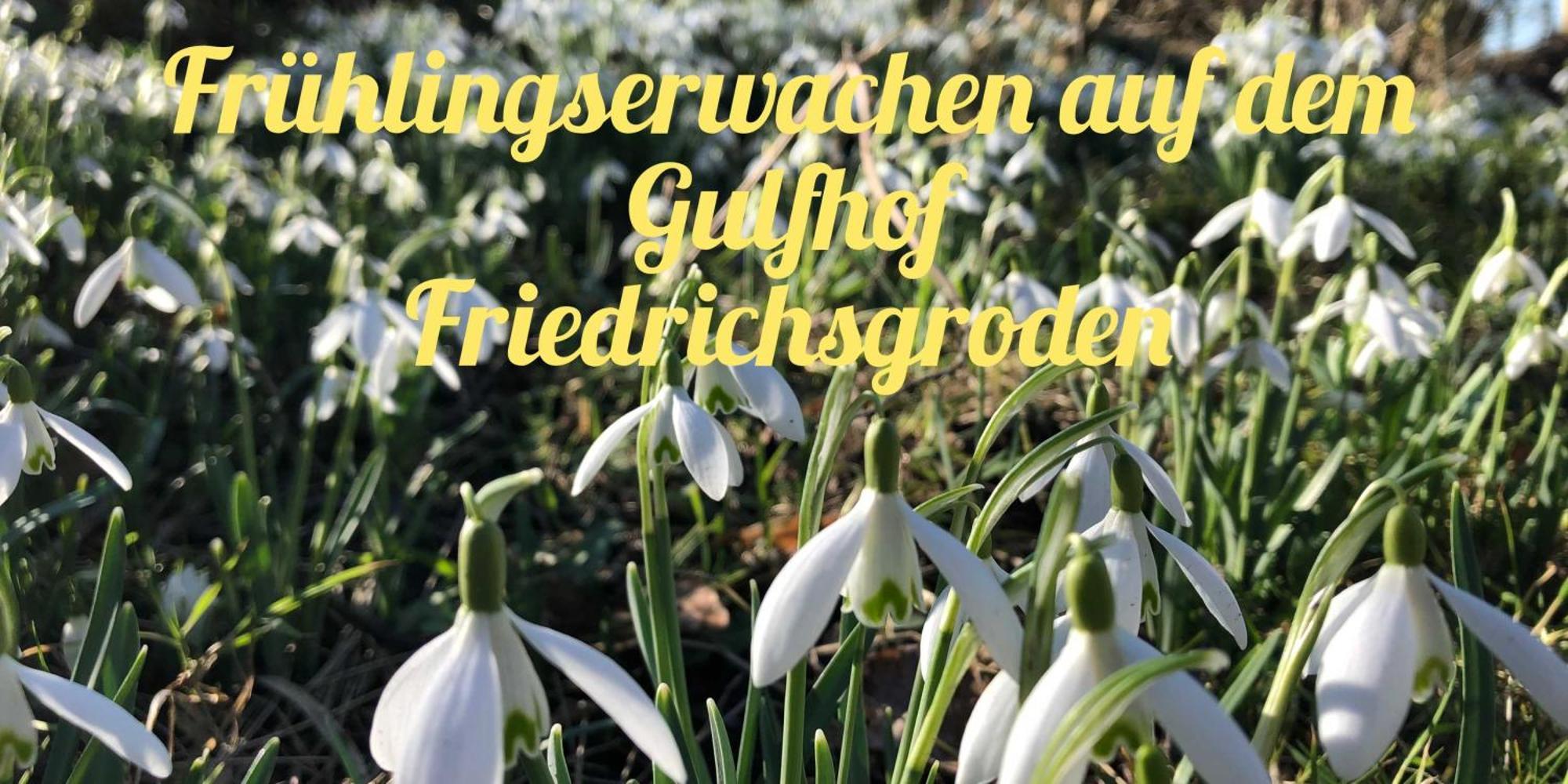 Gulfhof Friedrichsgroden Villa Carolinensiel Ngoại thất bức ảnh