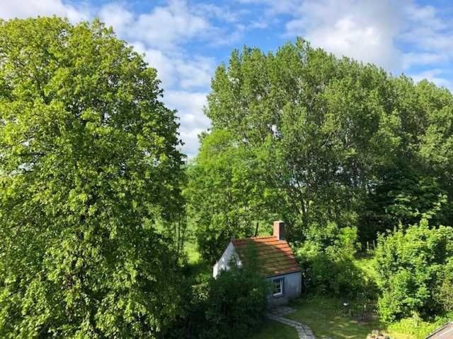 Gulfhof Friedrichsgroden Villa Carolinensiel Ngoại thất bức ảnh